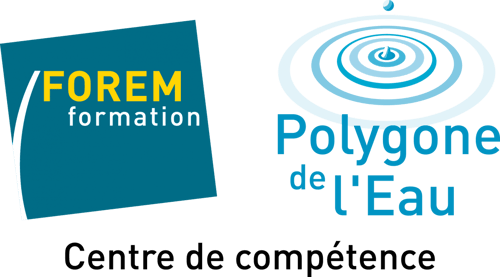 logo-polygone