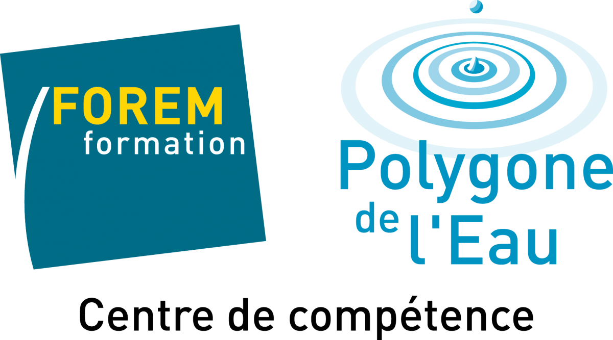 logo-polygone